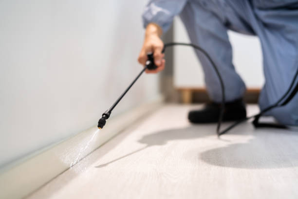 Certified termite inspector examining foundation in Haughton
