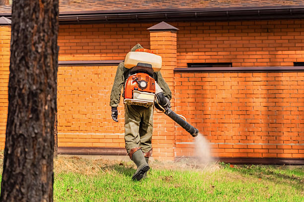 Bed Bug Clearance Verification and Documentation in Haughton